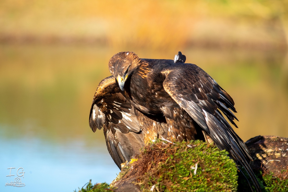 1DX43355 21 november 2021 1224 56